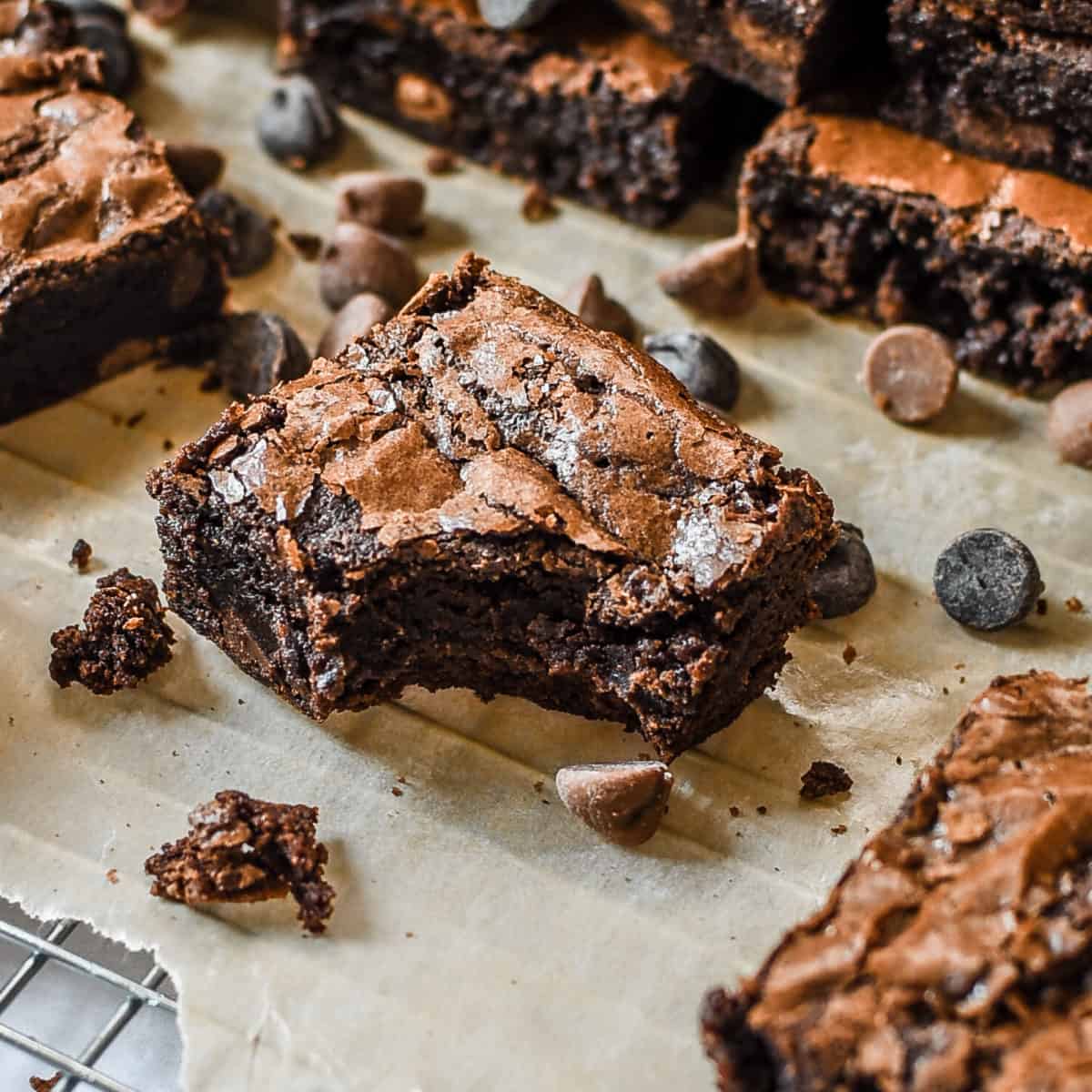Triple Chocolate Chunk Brownie